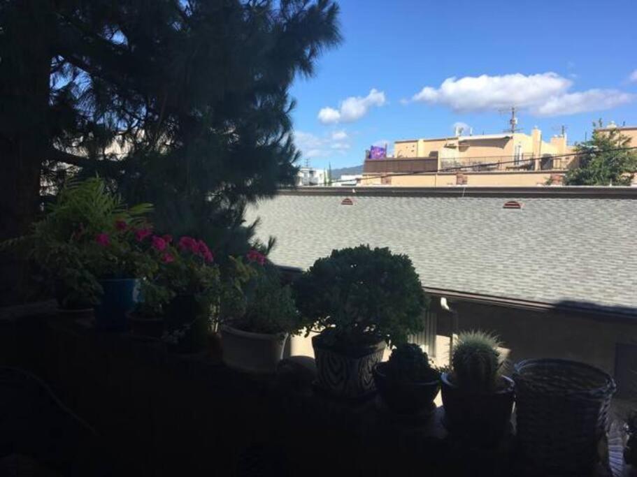 Apartment Spacious 2 Bedrooms. Prime Location *